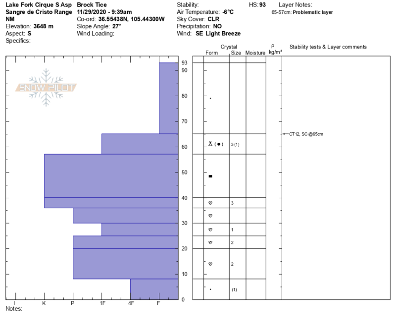 snowpilot pit profile