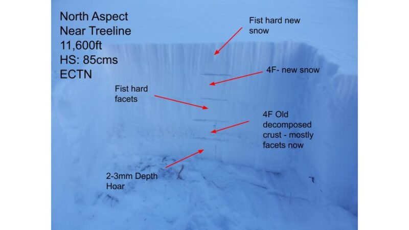 Weak faceted snowpack in a wind sheltered area near treeline