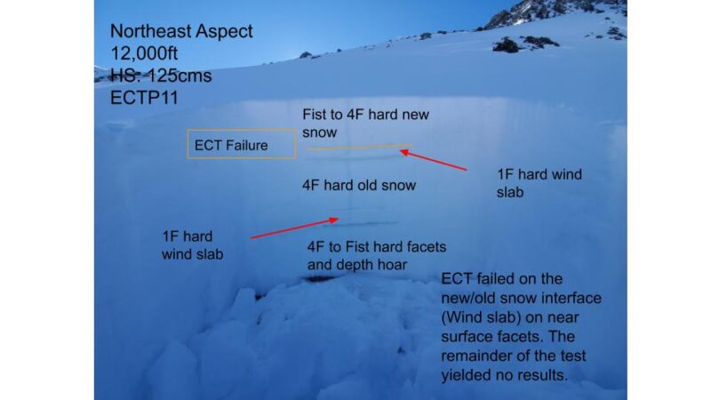 This slope was just above treeline and somewhere I knew I would find previous hard slabs. It's pretty representative of near treeline terrain that can sometimes act more like it's above treeline.