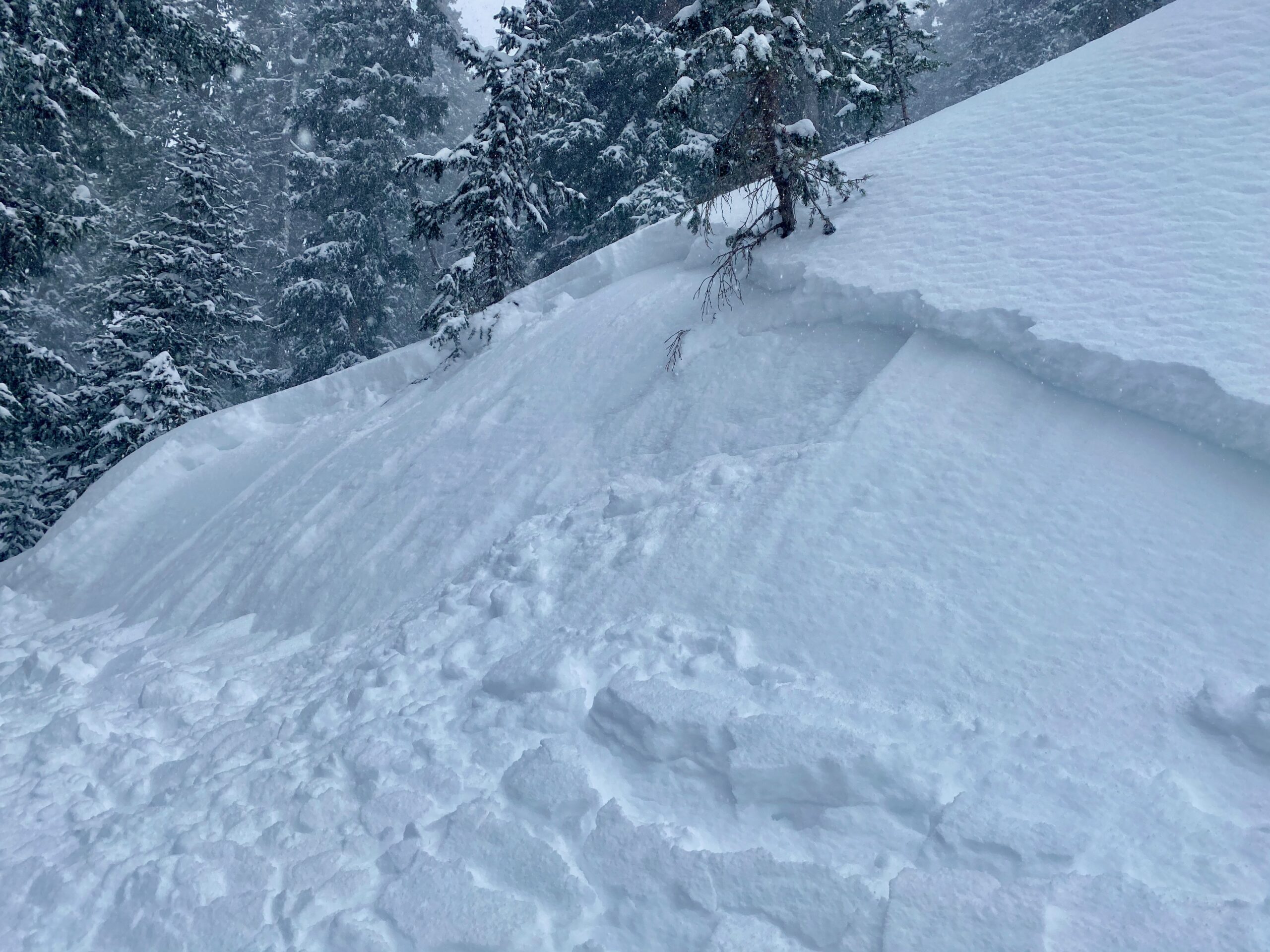 20201211_Natural and Skier Triggered avalanches » Taos Avalanche Center