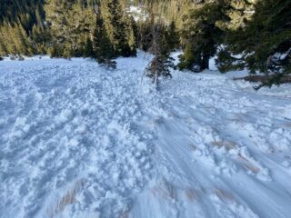 Natural loose snow avalanche from 12/21 during the afternoon. Snow was easily able to be entrained to the ground in the shallow weak snowpack from a small point release higher up the slope.