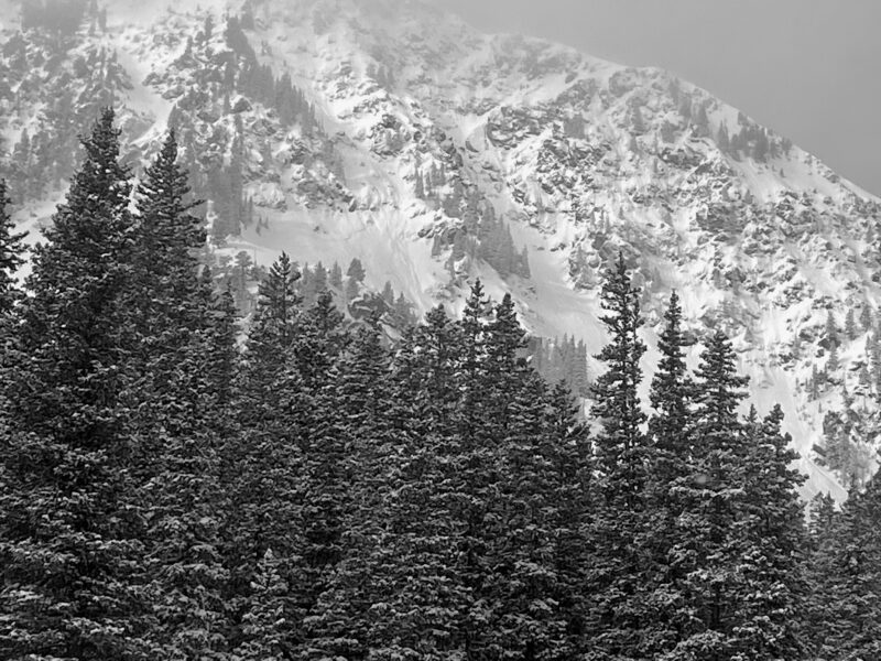 Natural avalanche from earlier this morning on an East aspect above treeline