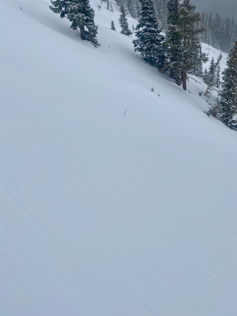 Shooting crack on an East aspect that we purposely tried to get to avalanche