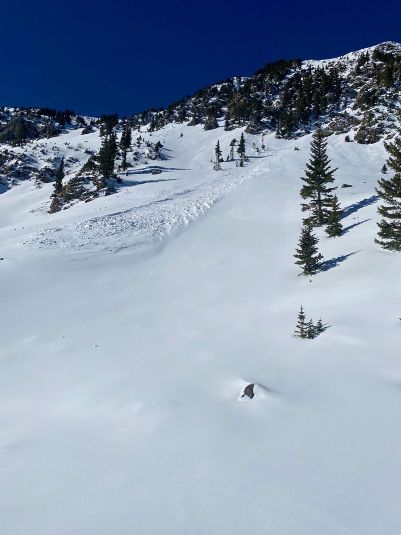 Natural avalanche from two days ago, but a good example of what could happen with strong sun on solar aspects where point releases are able to step down into older weaker snow