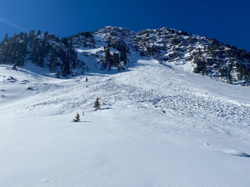 Natural avalanche from a repeat offender this year on the backside of Kachina Peak