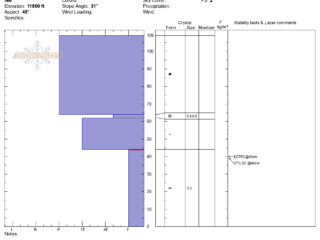 Snow profile for a Northeast aspect above tree line. An obvious strong over weak concern is illustrated. 