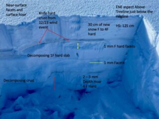 Just below the ridgeline with a natural avalanche 100' below on a steeper portion of the slope