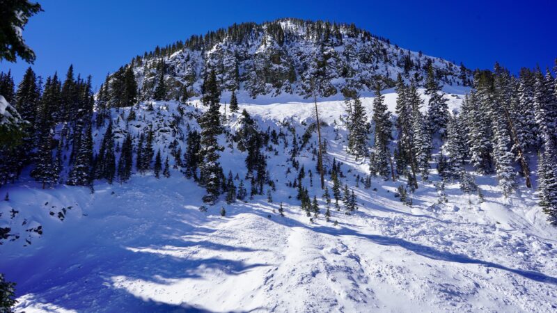 Avalanche started up high in the forbidden triangle than swept across the high traverse and down into pass