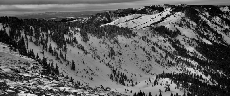 Widespread natural avalanches on north and east aspects 