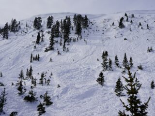 Jan 28, 2021: Large natural hard slab avalanche failing on weak faceted snow near the ground. This avalanche more than likely ran in the last 24 hours.