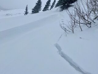 Jan 19, 2021: Wind drifted pillow near treeline on an East aspect.  Cracking and collapse as we approached the small slope.  It failed on buried near-surface facets just below a wind crust that formed during last weeks wind events.