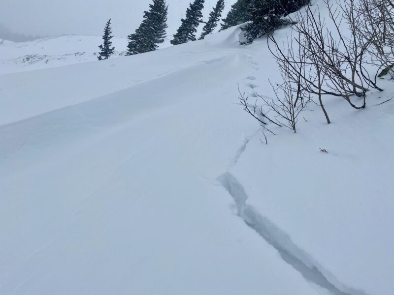Wind drifted pillow near treeline on an East aspect.  Cracking and collapse as we approached the small slope.  It failed on buried near-surface facets just below a wind crust that formed during last weeks wind events.