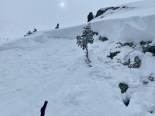 North aspect near treeline that we triggered from below.  Photo of crown that failed on facets just below the wind slab that formed from the 1/19 storm