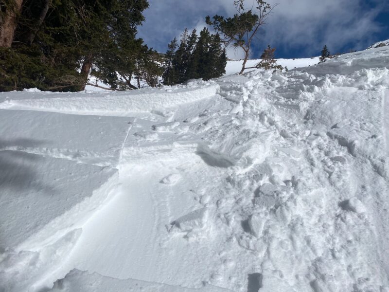 Small wind slab that I was able to trigger running on the old melt-freeze crust that formed prior to this storm