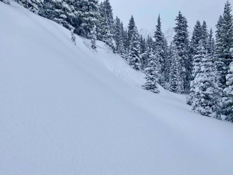 Small avalanche I triggered below treeline from where I took the photo.