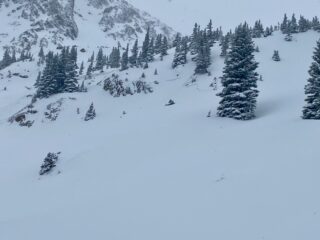 Jan 25, 2021: Remotely triggered avalanche roughly from where the photo was taken