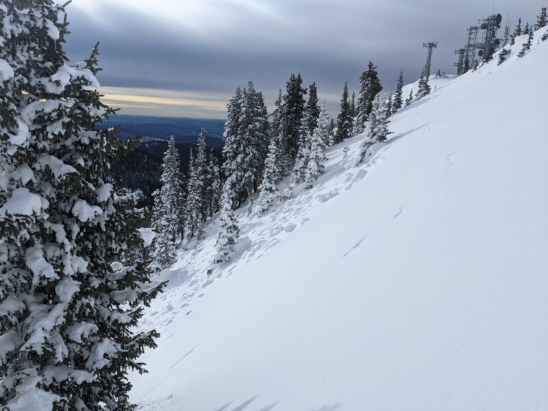 The larger of the two avalanches observed. Note the shooting cracks running out from the tree in the foreground, resulting in the remote triggering of this avalanche.