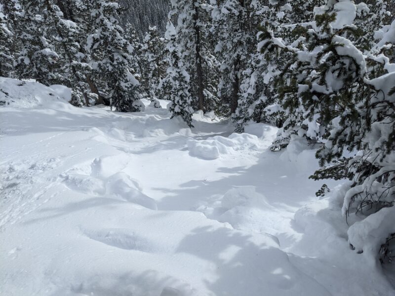 Smaller of the two avalanches observed. Note the objective hazard of dense trees directly below.