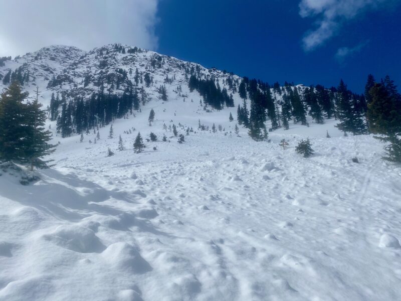 A natural persistent slab avalanche from last weekend. It's a good reminder before this next storm and loading event of how large a deeper persistent slab avalanche can be.