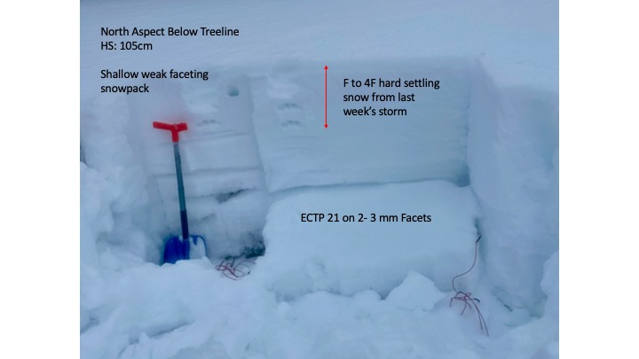 Shallow snowpacks like this one below treeline continue to have facets lingering deeper down in the snowpack with settling stiffening slabs on top from last week's snowstorm.  These facets have been slow to heal and gain strength.