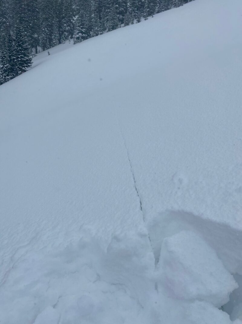 shooting cracks were widespread near and above treeline on steep slopes