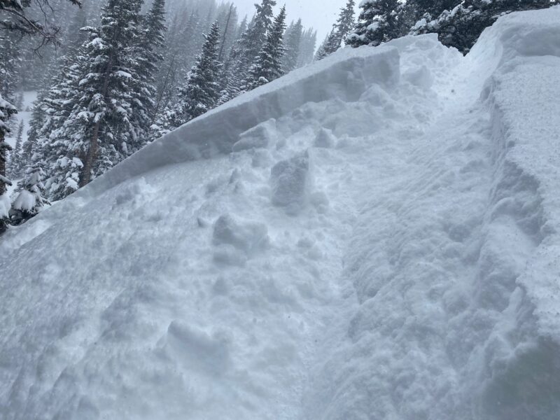 Small intentionally triggered avalanche with a ski cut below treeline