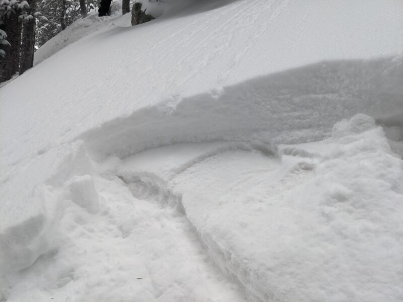 Storm slabs releasing on a decomposing melt-freeze crust from our recent warm up.