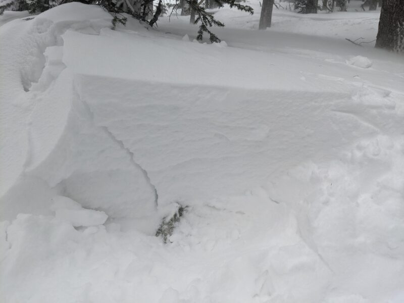 Wind slabs up to 24cm deep below treeline.