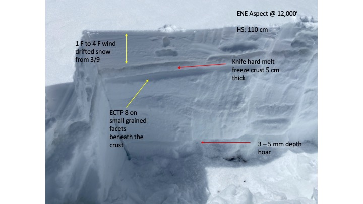 Facets are forming below the melt-freeze crust from that formed from last weeks warm temperatures and sun