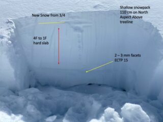 Mar 6, 2021: Shallow snowpack on No Name Peak.  It's shallow snowpacks like these that we are finding weak layers that you may be able to impact and are still reactive in extended column tests. These persistent weak layers deeper down in the snowpack can be found on specific slopes near and above treeline on N through E and SE aspects
