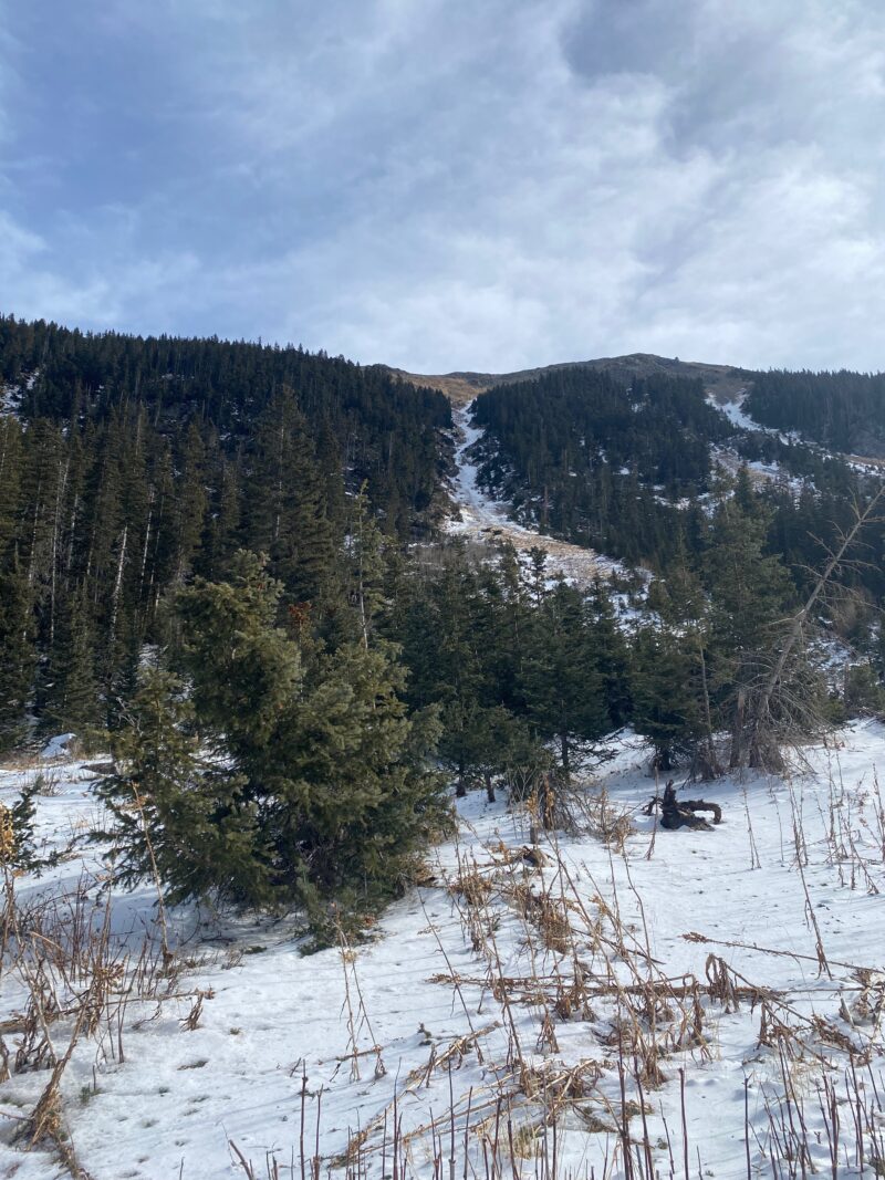 West facing slope with not much snow in chute