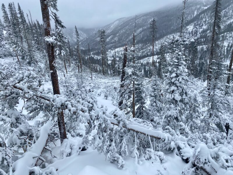 Massive downfall has destroyed the below treeline skiing on the skiers right of El Funko bringing you back to the trailhead