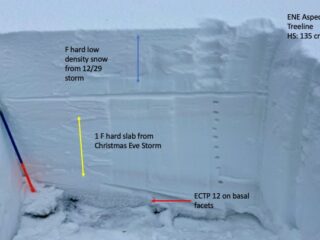 Dec 30, 2021: ENE aspect near treeline with about a foot of low-density fist hard snow from the 12/29 storm on top of the denser slab from Christmas Eve storm.  Basal facets from earlier snow continue to linger near the ground.