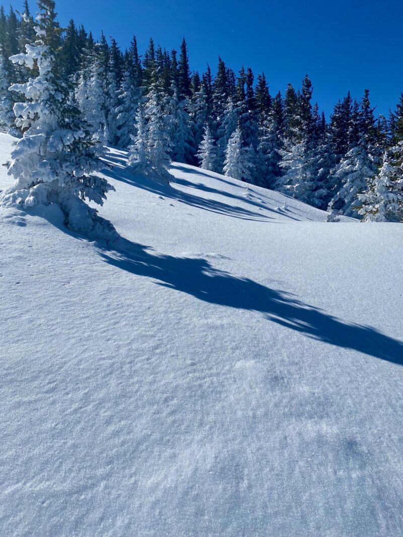 Surface hoar and near surface faceting made for nice skiing, but with no snow in the forecast for at least a week, it won't become an issue unless it buried