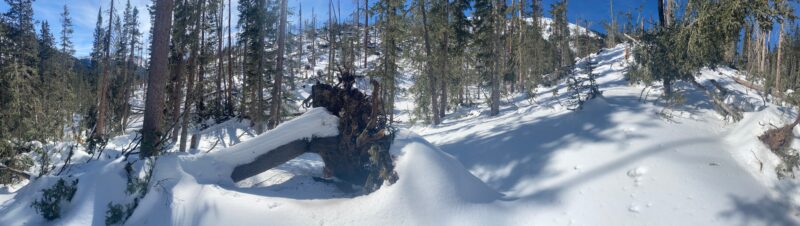 Was able to make it around all the blowdowns in Long Canyon, higher up off the access trail large swathes of forest got destroyed form the Dec 15th wind event