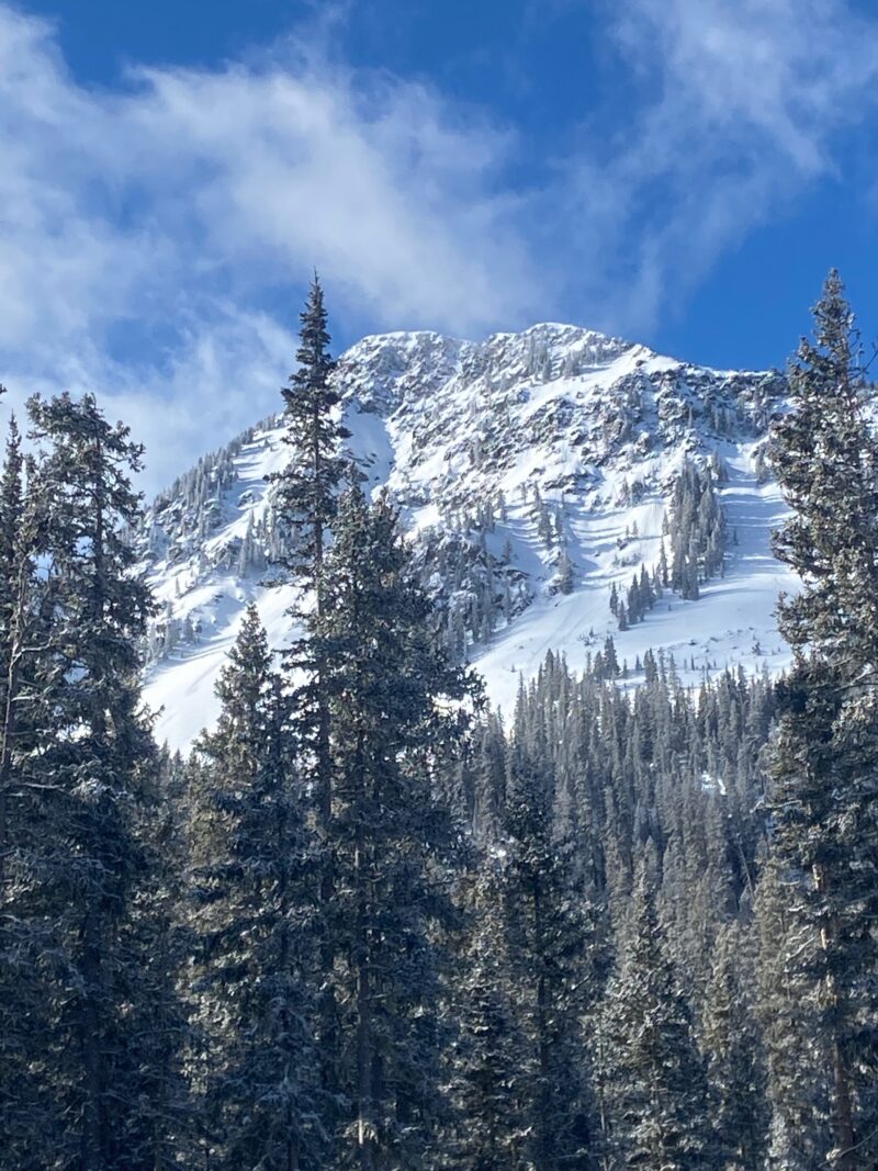 A couple of inches of low-density new snow fell on a variety of different surfaces from firm crusts to near-surface facets. Small loose snow avalanches started as point releases in steep terrain fanning out.  With more snow in the forecast, these old snow interfaces will become more important in the coming days.