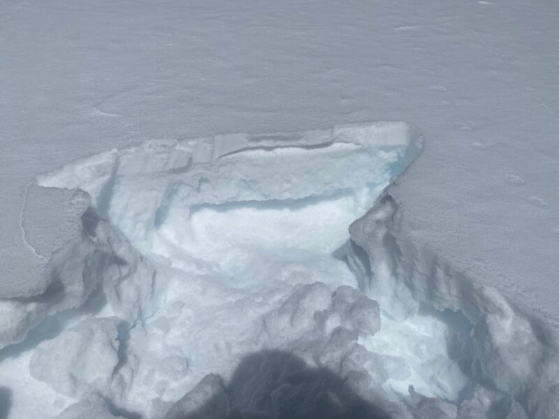 SE aspect above treeline with a more robust melt-freeze crust (and percolation columns) from the warm temperatures in the middle of January