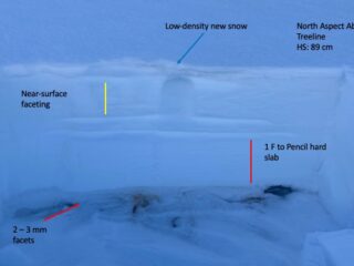 Jan 20, 2022: Shallow snowpack on a northerly aspect above treeline.  Its places where you find shallow snowpacks like this that you're more likely to impact faceted layers near the ground