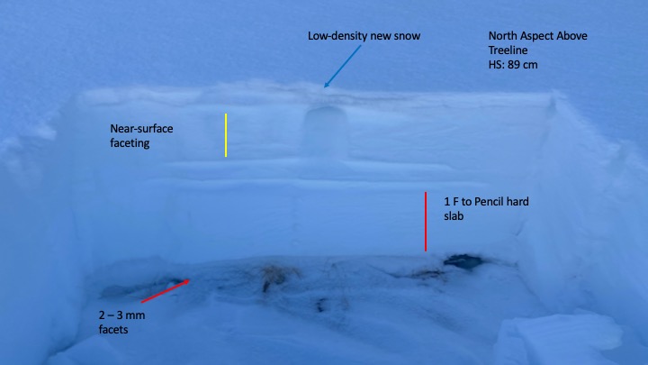 Shallow snowpack on a northerly aspect above treeline.  Its places where you find shallow snowpacks like this that you're more likely to impact faceted layers near the ground