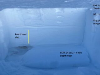 Jan 7, 2022: Dug a pit in a shallow snowpack on NE aspect above treeline.  It's this shallow snowpacks where you're most likely to impact a depth hoar layer on the ground