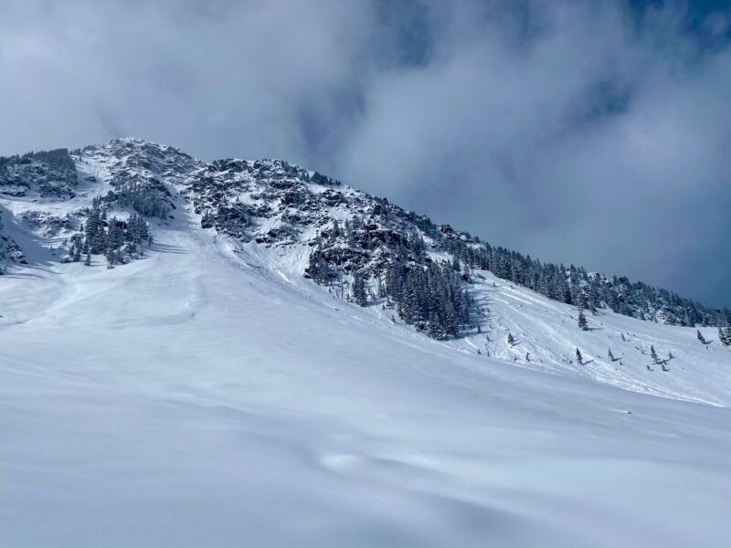 Recent natural avalanche activity that started as smaller point releases and stepped down propagating small storm slab avalanches on steep NE terrain above treeline