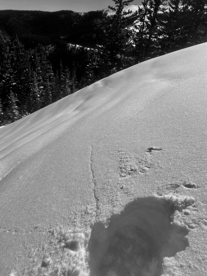 Shooting Cracks after I approached a NE aspect Near Treeline and had a loud audible collapse