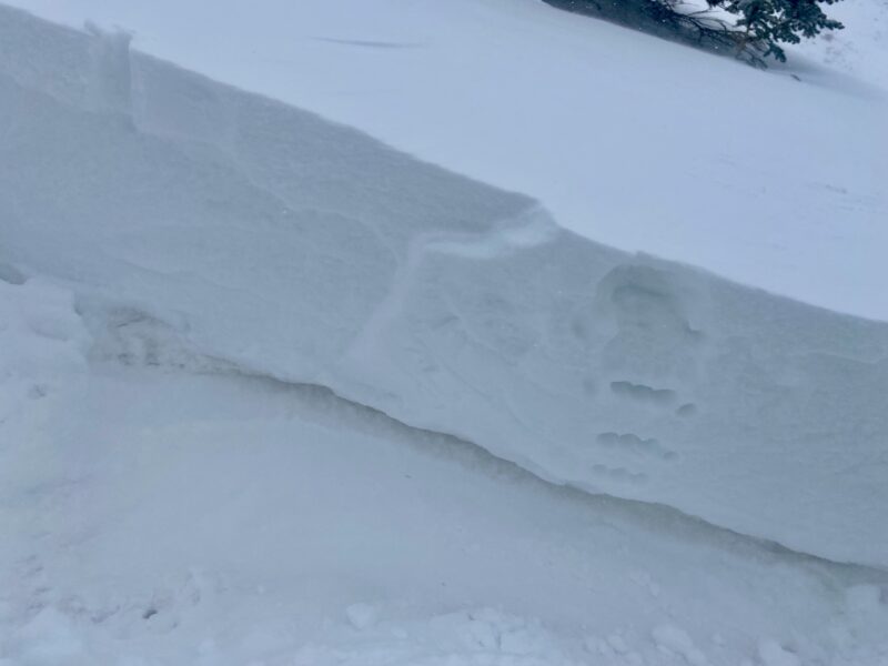 Wind Slab Avalanche that I triggered looking at the 4 F hard soft slab formed by new snow and wind that ran on a firm crust that formed prior to the storm.