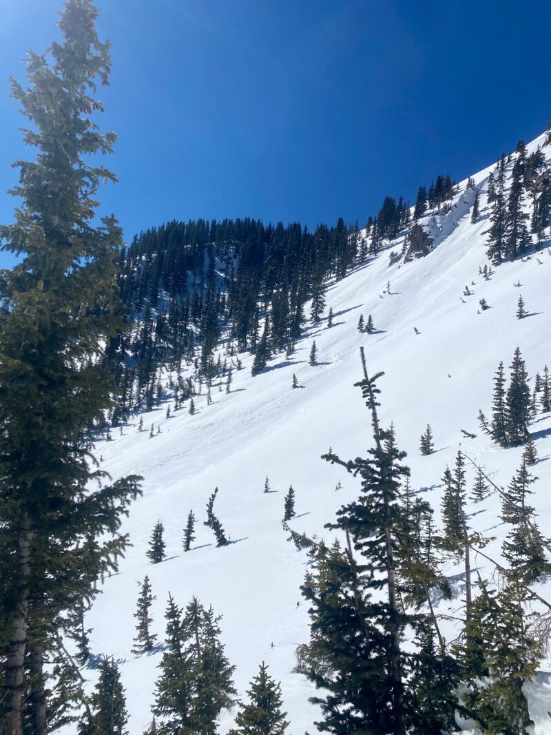 Natural avalanches that ran sometime during the storm on Thursday