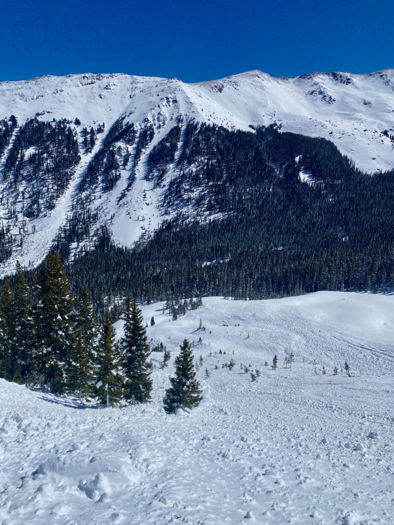 smaller natural avalanches during the storm on Thursday on west aspects in the ring finger and Peace Sign