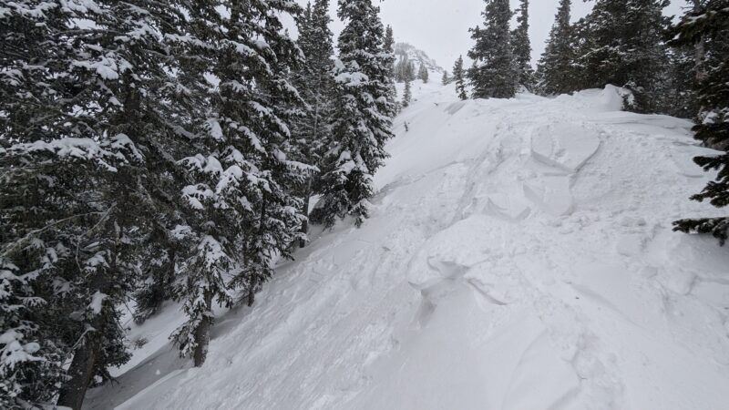 Similar results with intentional cornice release near treeline on E aspect.