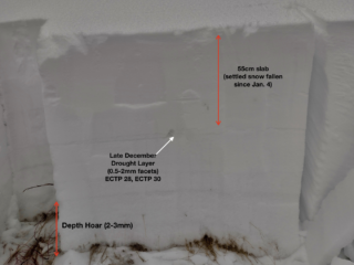 Jan 25, 2024: Snowpit profile on a NE aspect @ 11,3k
HS 135cm; ECTP 28/ECTP 30 on December facets 57cm below surface