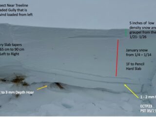 Snow pit in a cross-loaded, West facing gulley near treeline. Note the differences in depth of the weak layers.