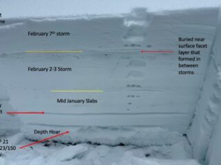 Feb 8, 2024: Snow profile at 11'5k below treeline, North aspect, wind-sheltered terrain