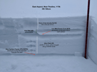 Mar 14, 2024: East Aspect near treeline. Near surface facets about 35-40cm deep failed on easy force in this spot. Significant snow and wind during the present storm will likely cause natural avalanches on this layer.